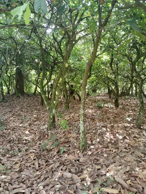 Plot of Land Behind Afari Military Hospital