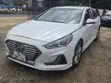 Hyundai Sonata SEL 2018 White - 1