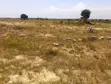 100 Acres Titled Land for Sale in Tsopoli, Near Accra-Aflao Highway - 2