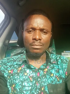 Professional Driver with 10-13 Years Experience