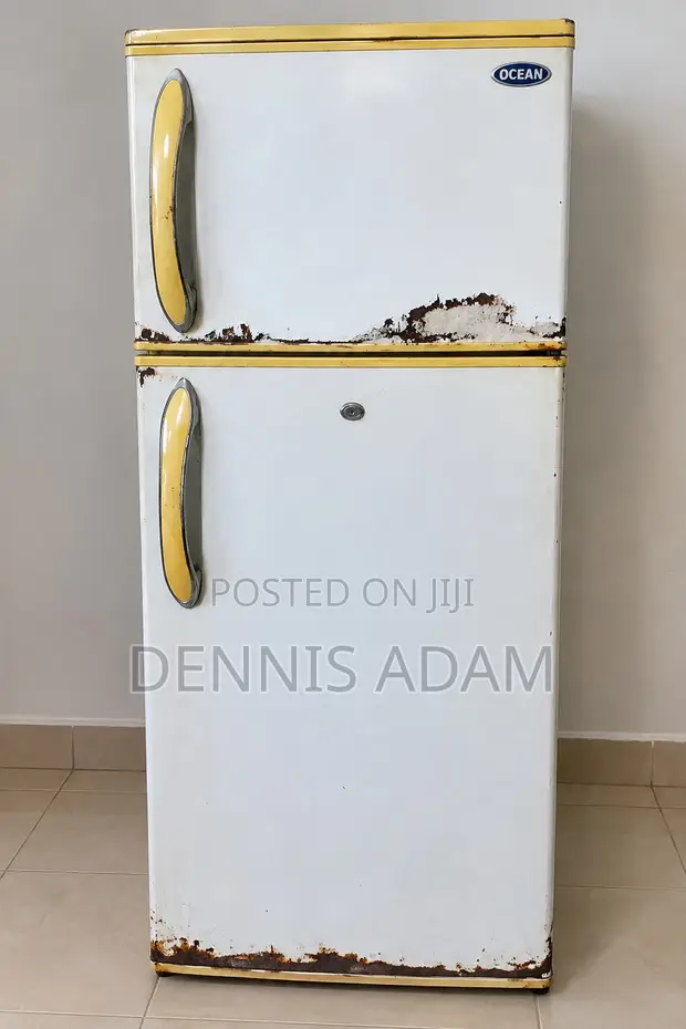 Ocean Double-Door Refrigerator for Sale - 1