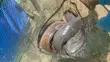 Premium Catfish (500g+) – Wholesale & Retail - 3