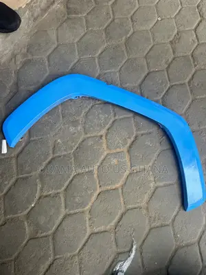 Toyota RAV4 Fender Moulding (2020-2025)