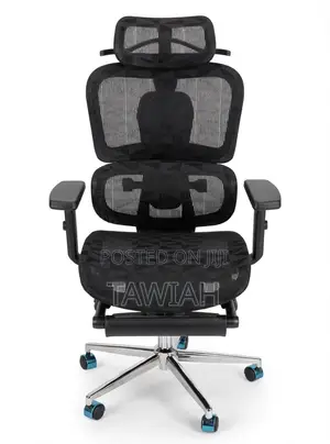 Economic Mesh Office Chair with Headrest & Lumbar Support