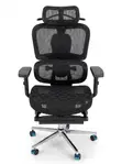 Economic Mesh Office Chair with Headrest & Lumbar Support - 1