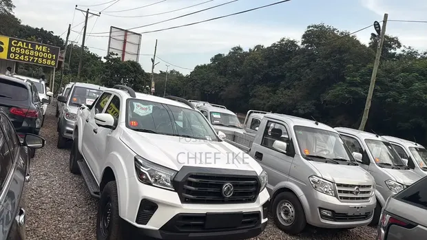New Dongfeng Rich 6 2026 White - 1