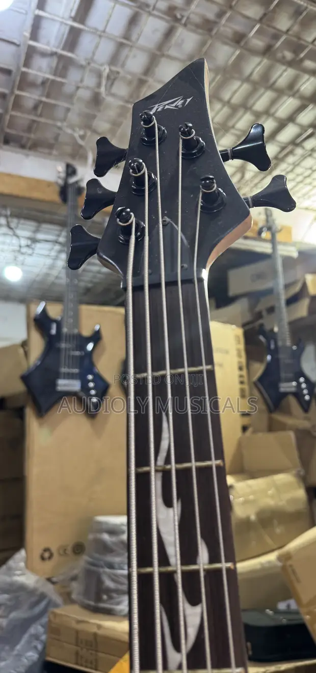 Peavey Black 6-String Bass Guitar - 1