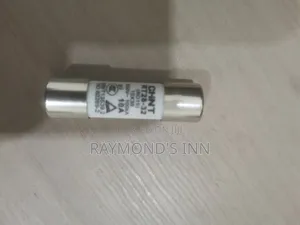 Brand New Chint Fuse (10A, 500V)