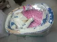 Brand New Baby Bed for Newborns - 2