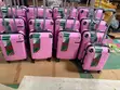 3-in-1 Echolac Travel Luggage Set - 1