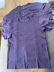 Plain Round Neck T-Shirts - 3