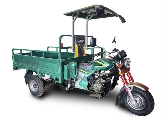 New Luojia Motorized Tricycle 2026 - 1