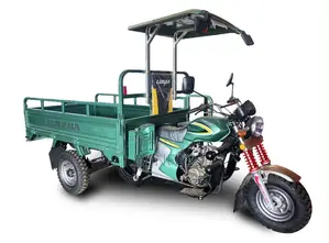 New Luojia Motorized Tricycle 2026