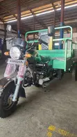 New Luojia Motorized Tricycle 2026 - 3