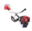Powerful Petrol Grass Cutter / Brush Cutter - 1