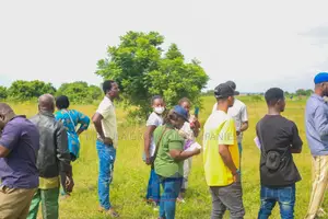 Genuine Mixed-use Land for Sale in Amasaman