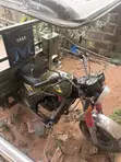 Tricycle 2025 Green - 2