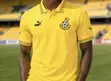 Ghana 2026 Home/Special Polo Jersey - 2