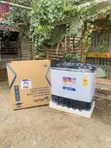 Pearl 18Kg Topload Twintub Semi Automatic Washing Machine - 2