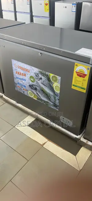 Snowsea 316L Chest Freezer