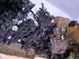 Nissan Hardbody QD32 Injection Pump - 4