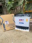 New Pearl 18Kg Topload Twin Tub Semi Automatic Washing Machine - 1