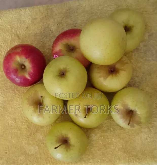 Apple (6 Pieces) - 1