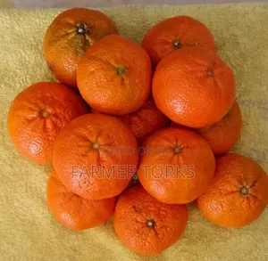 Fresh Clementines