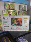 Evalasting Roch 43" Smart Android TV - 2