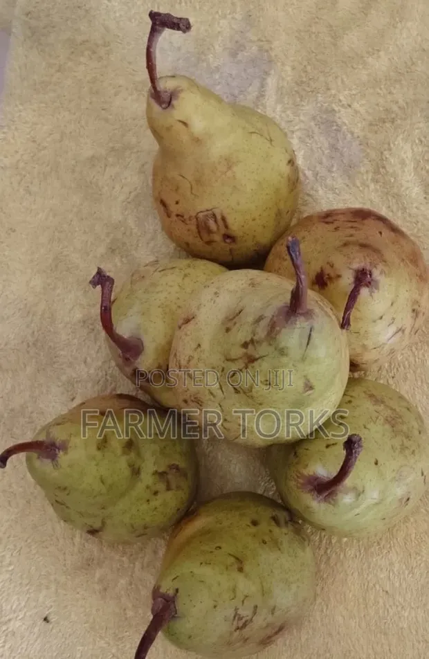 Apple Pear Fruits (5kg) - 1