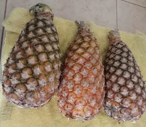 Pineapple Fruit