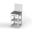 4-Burner Gas Cooker Combo with Gas Cylinder & Kettle - 2
