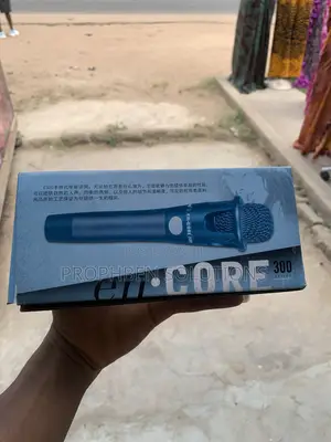 Professional Handheld Condenser Microphone - E-300