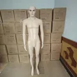Full-Body Mannequins - Male & Female Display Models - 2