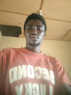 Housekeeper or Any Work with Accommodation