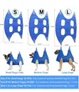 Pet Grooming Hammock - Nail Cutting, Bathing, Ear/Eye/Dental Care - 3