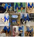 Pet Grooming Hammock - Nail Cutting, Bathing, Ear/Eye/Dental Care - 5
