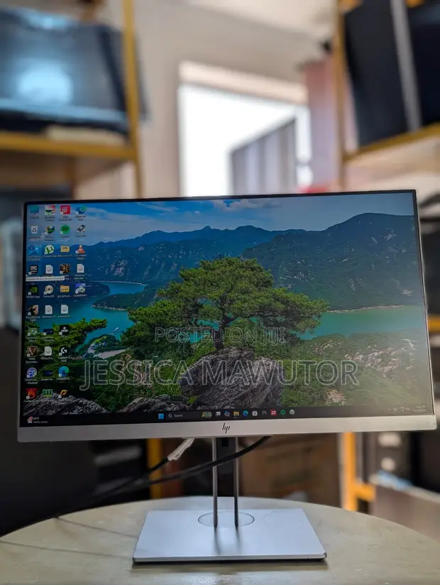 HP EliteDisplay E233 23" Full HD Monitor - 1