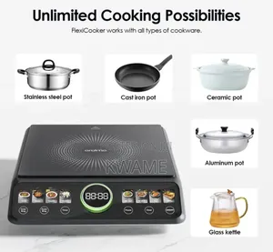 Oraimo Electric Cooker 2200W