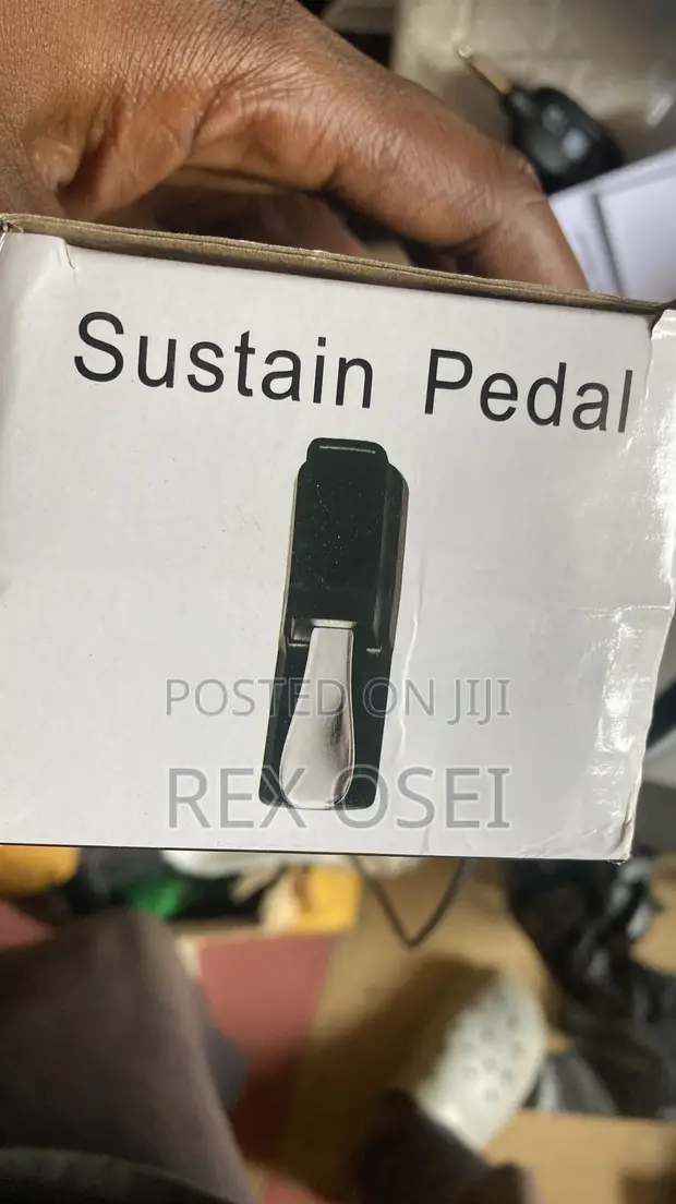 Brand New DR Sustain Pedal - 1
