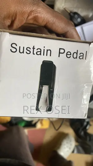 Brand New DR Sustain Pedal