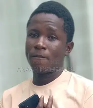 Anaah Emmanuel Driver CV