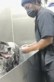 Professional Dog Grooming & Pet Hygiene - Home Service Accra - 2