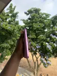Apple iPhone 16 128GB Pink - 2