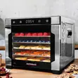 Gastroback Design Dehydrator Pro (Model 46602) - 2