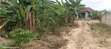 Double Plot for Sale at Feyaise, Near Wisconsin University - 3