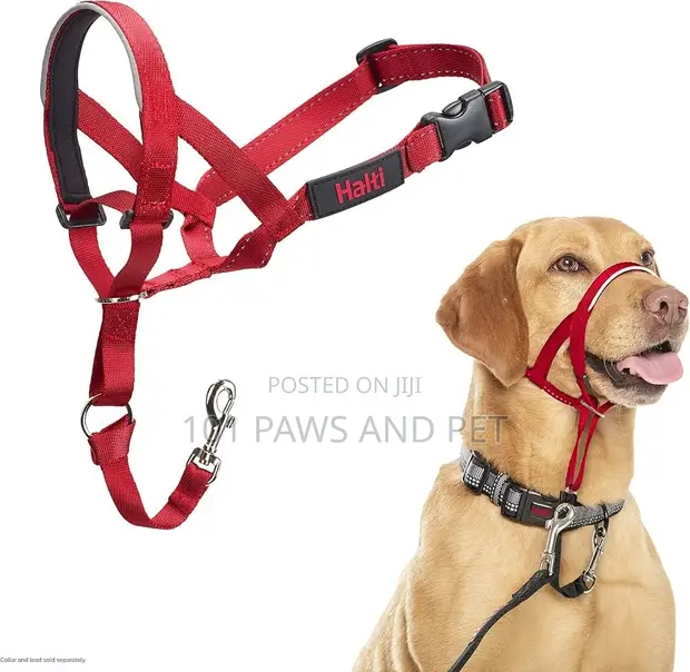 Halti Headcollar for Dogs - Stops Pulling - 1