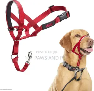 Halti Headcollar for Dogs - Stops Pulling