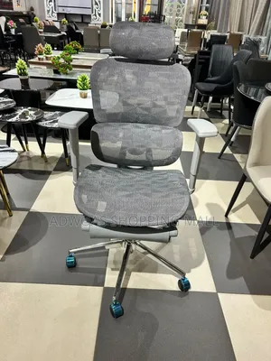 Executive Ergonomic Swivel Chair - Brand New