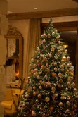 Christmas Trees and Decorations - 1